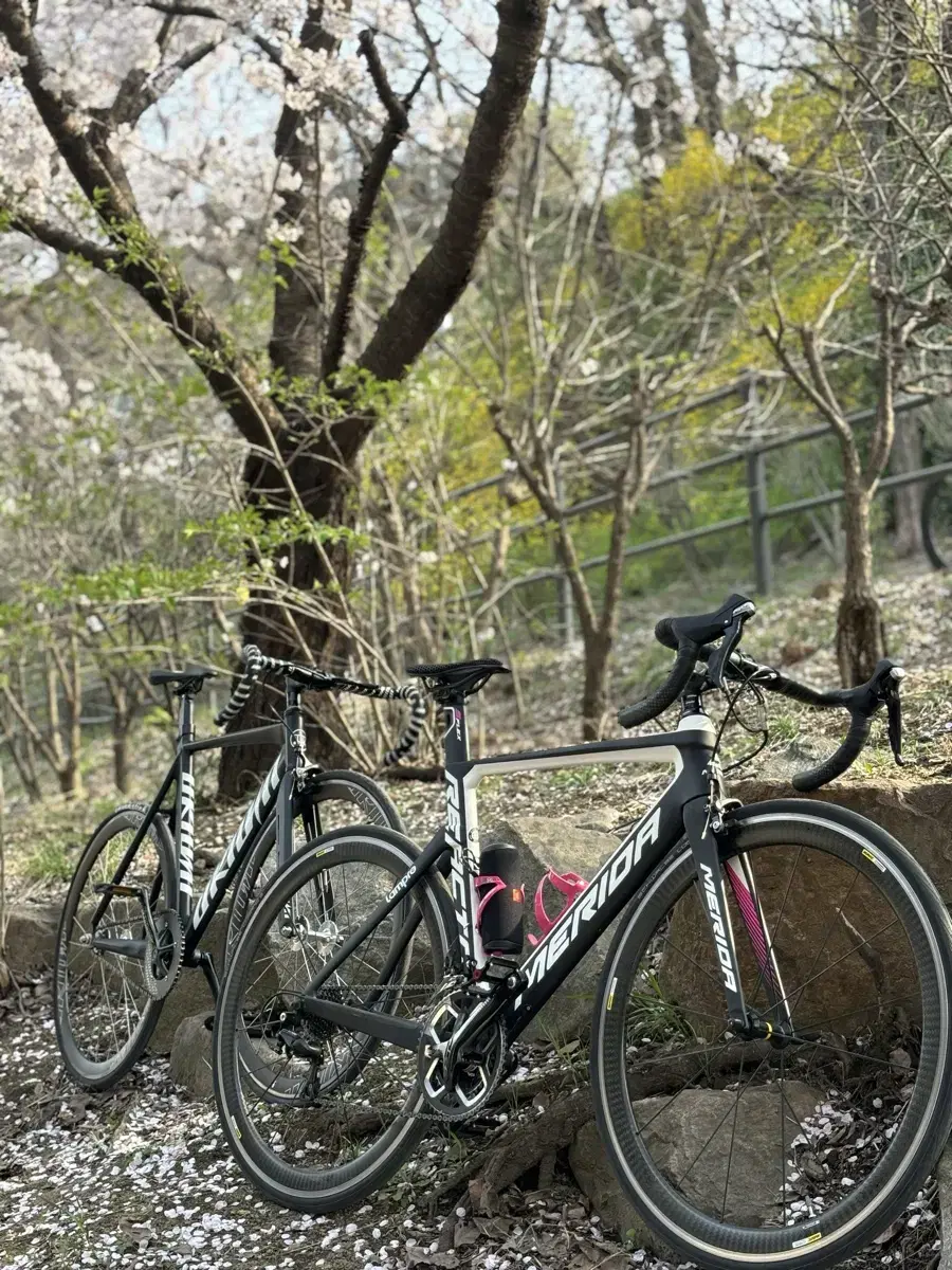 급처)메리다 리엑토 4000 카본휠셋 판매